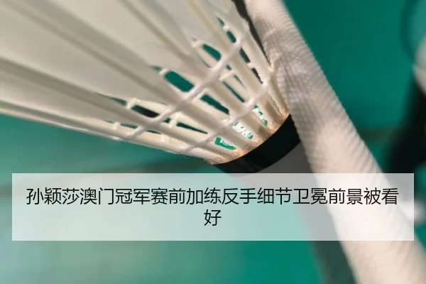 孙颖莎澳门冠军赛前加练反手细节卫冕前景被看好 | 3377SPORTS